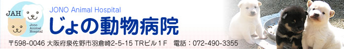 羽倉崎 じょの動物病院